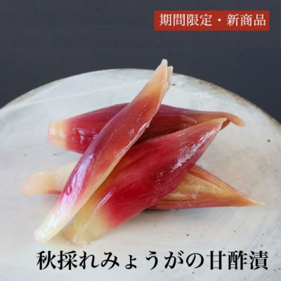 秋採れみょうがの甘酢漬